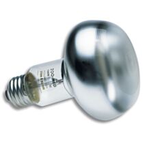 Ampoule chauffante pour reptiles, terrariums 100W